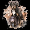 CANINE COLLECTION